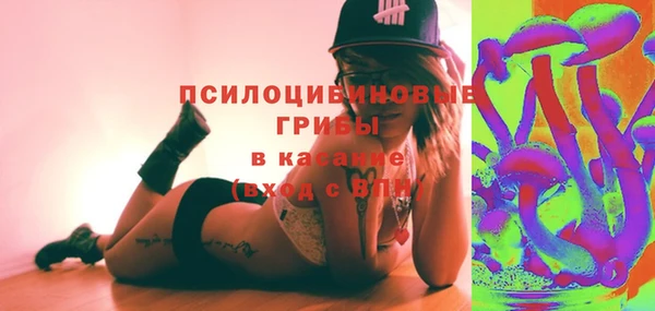 apvp Алзамай