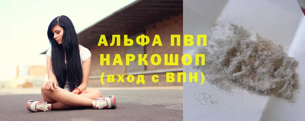 apvp Алзамай