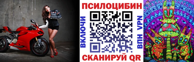 хочу наркоту  shop какой сайт  Галлюциногенные грибы Psilocybine cubensis  Камышин 